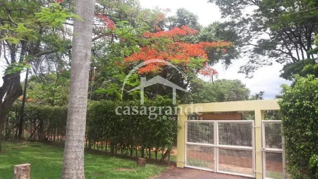 Imagem 19