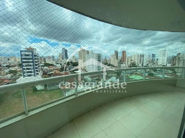 Imagem 11