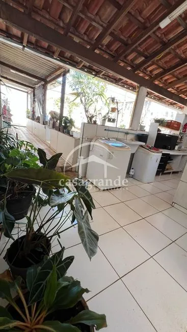 Imagem 11