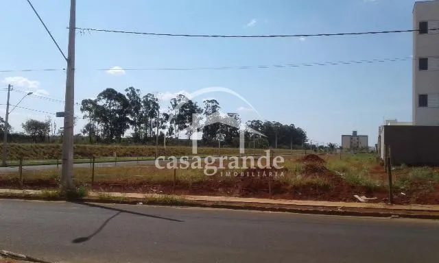 Imagem 3