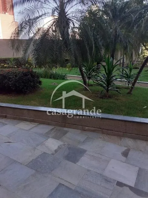 Imagem 8