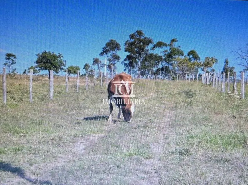Imagem 16