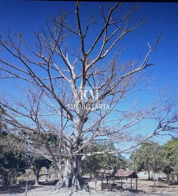 Imagem 10