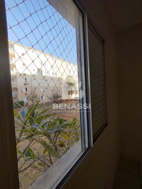 Imagem 19