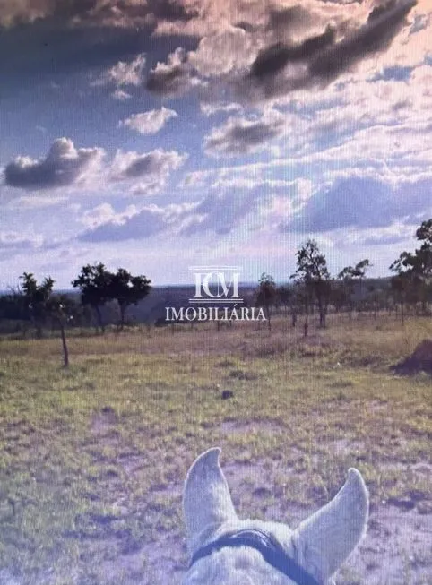 Imagem 19
