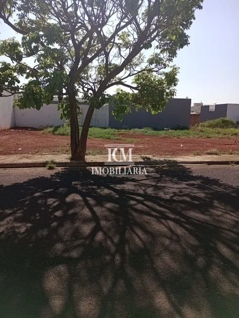 Imagem 3