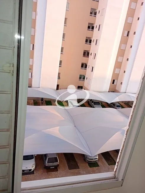 Imagem 10