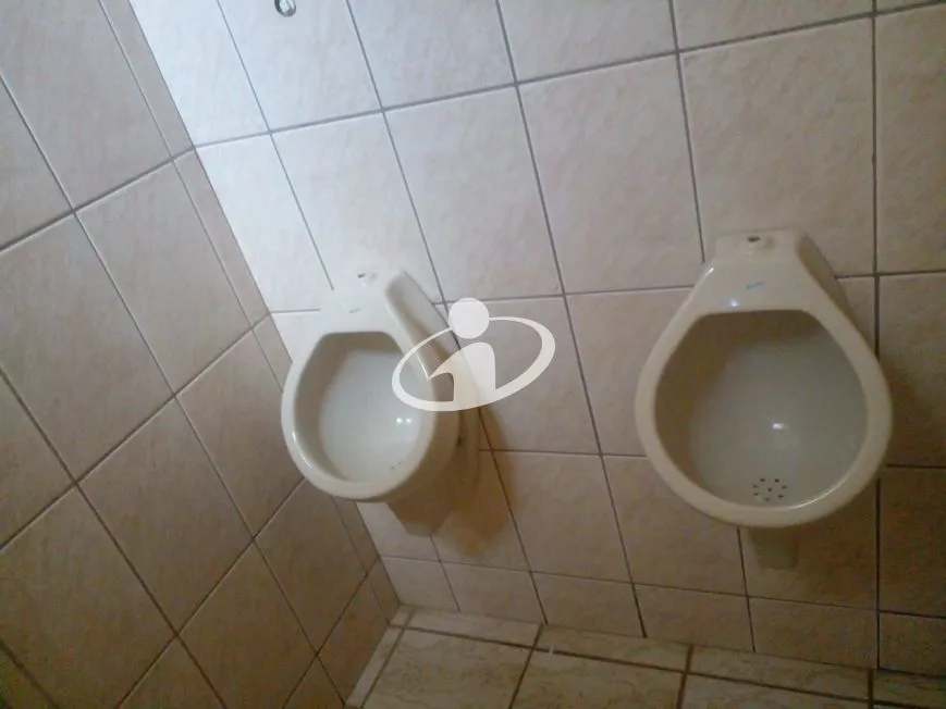Imagem 5