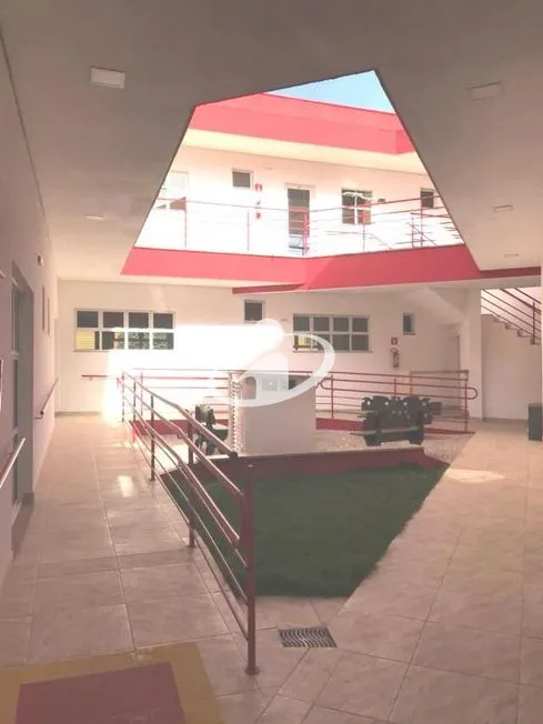 Imagem 5