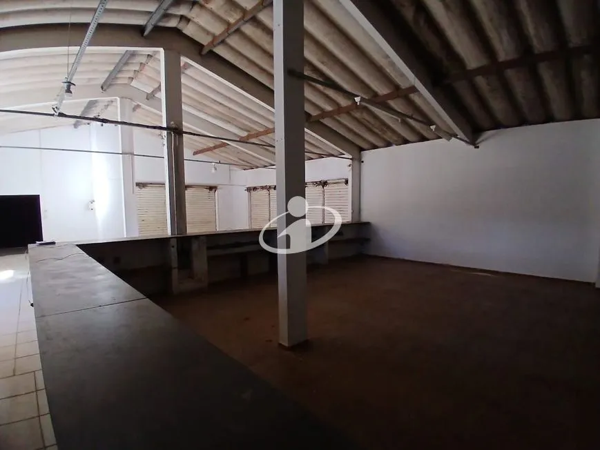 Imagem 11