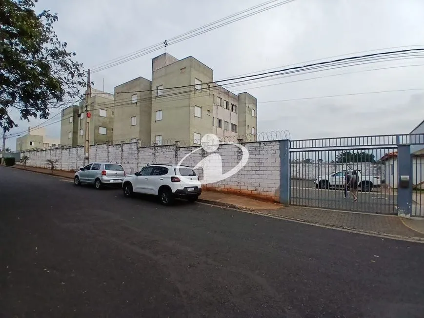 Imagem 3
