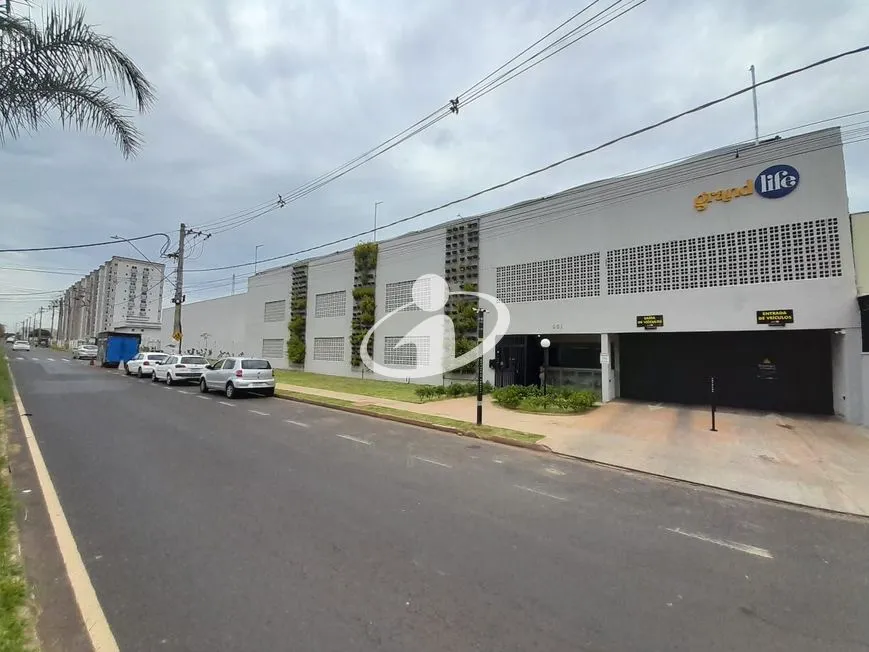 Imagem 8