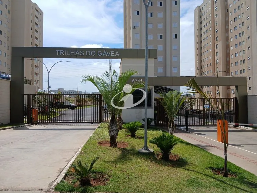 Imagem 4