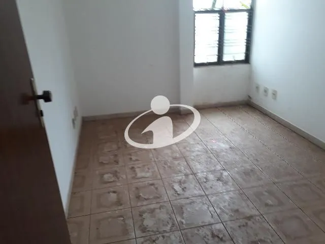 Imagem 7