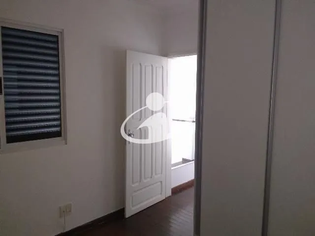 Imagem 27