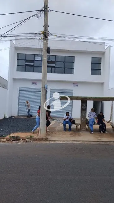 Imagem 12