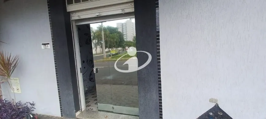 Imagem 3