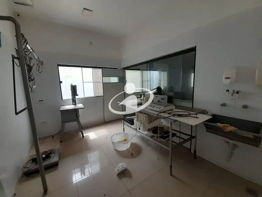 Imagem 15