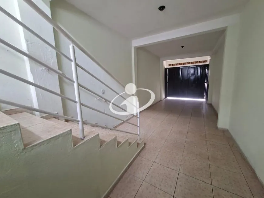 Imagem 3
