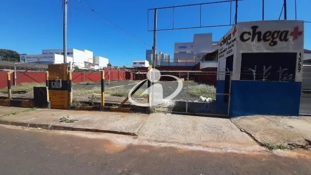 Imagem 3