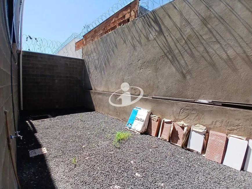 Imagem 6