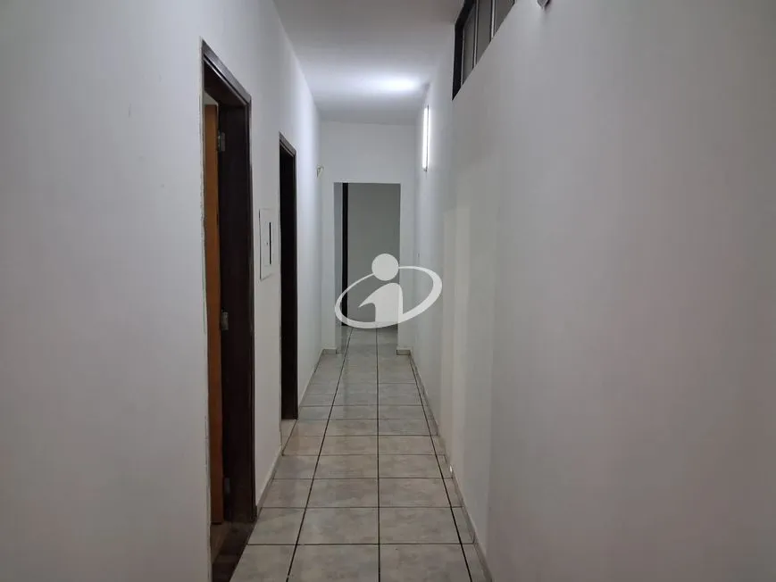 Imagem 10