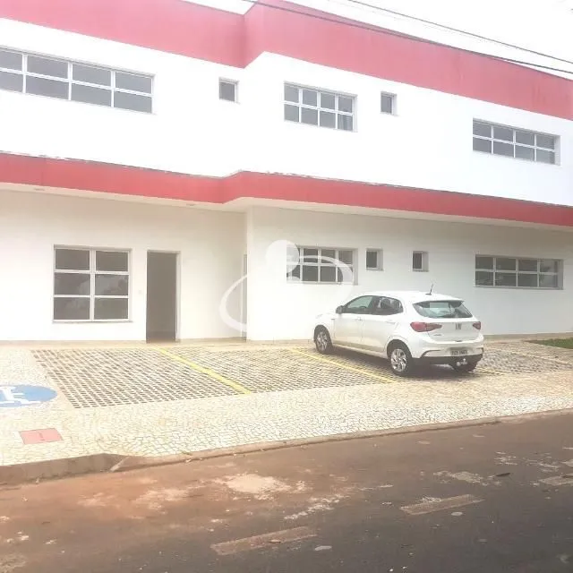 Imagem 17