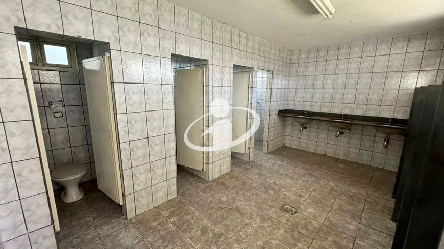 Imagem 4