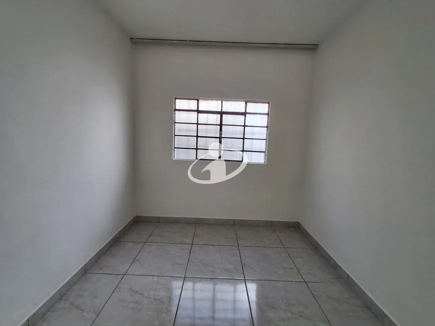 Imagem 11