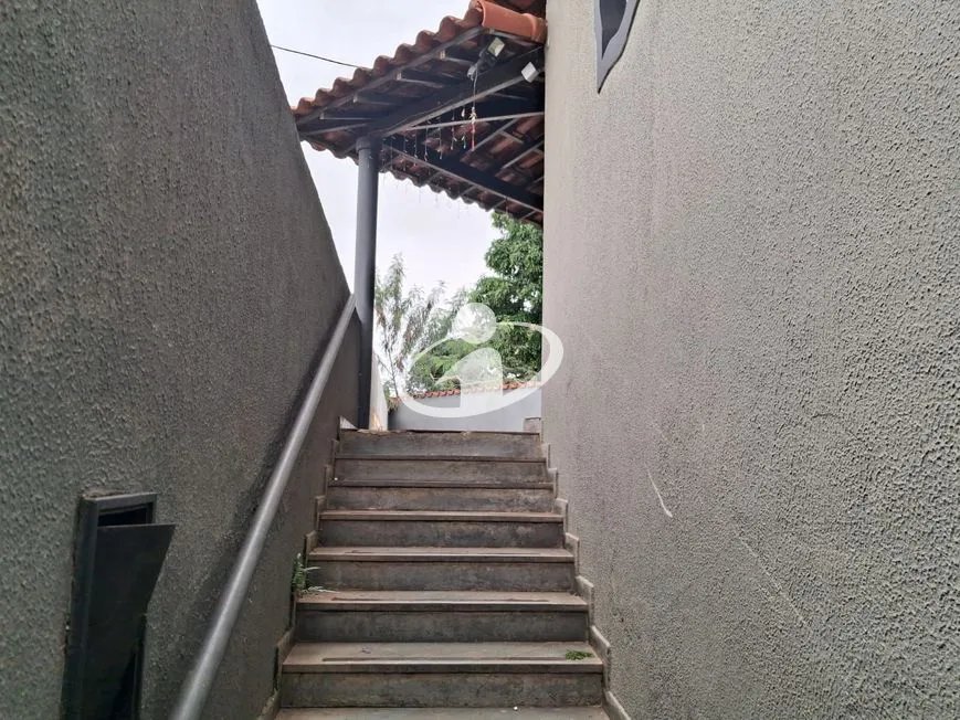 Imagem 14