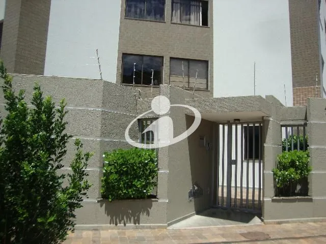 Imagem 13