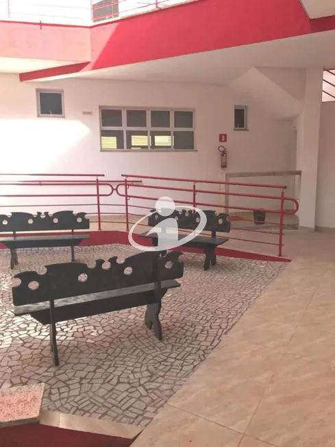 Imagem 7