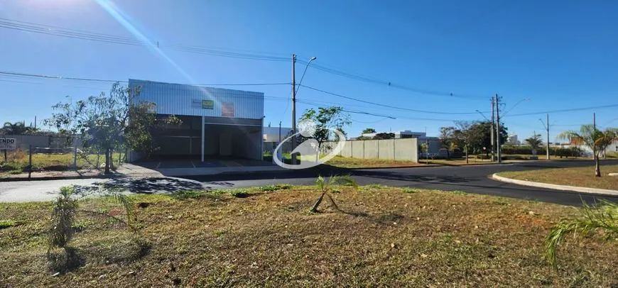 Imagem 11