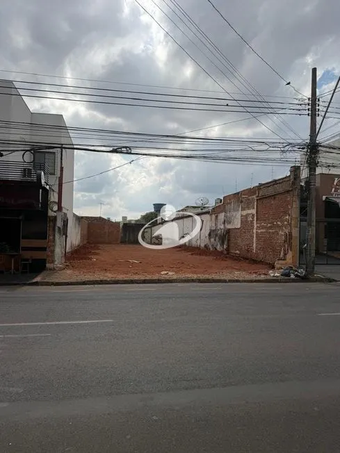 Imagem 3