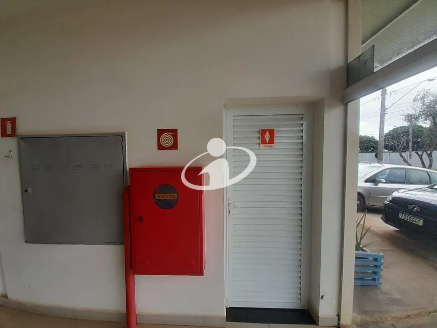 Imagem 6