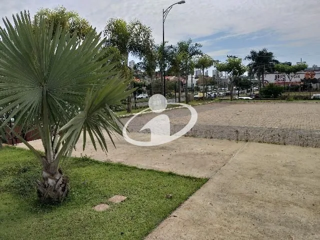Imagem 3