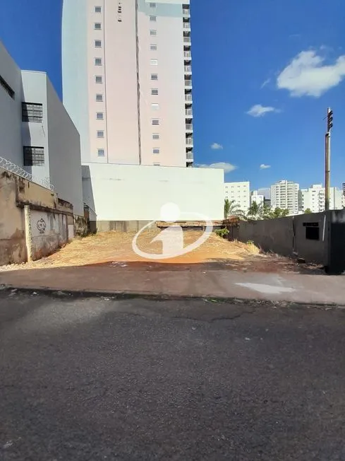 Imagem 2