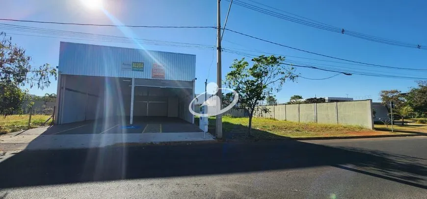 Imagem 13