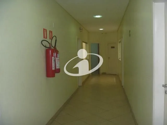 Imagem 8