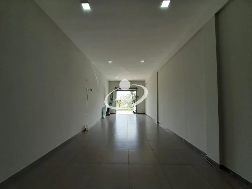 Imagem 5