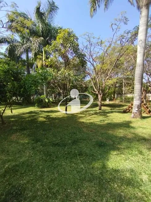Imagem 13