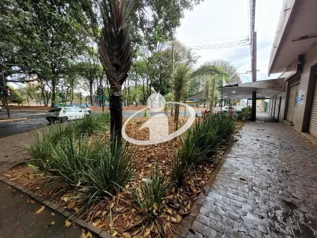 Imagem 2