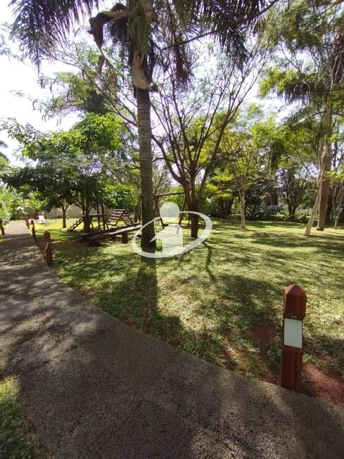 Imagem 6