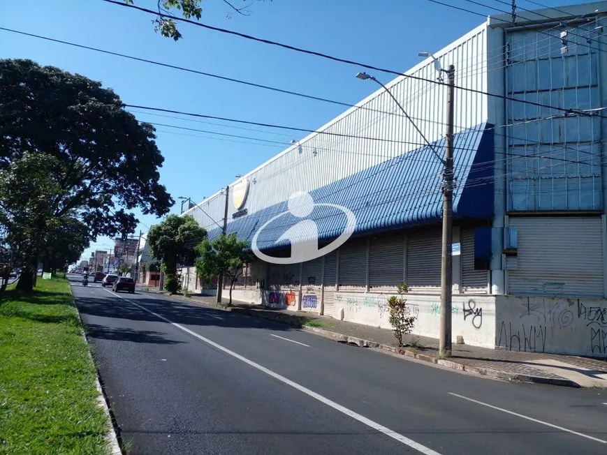 Imagem 3