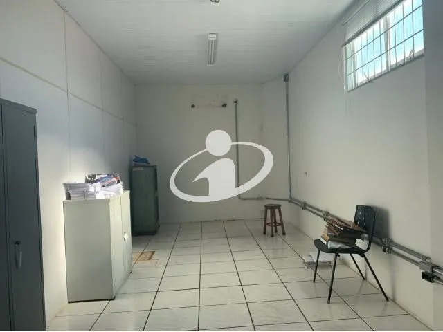 Imagem 7