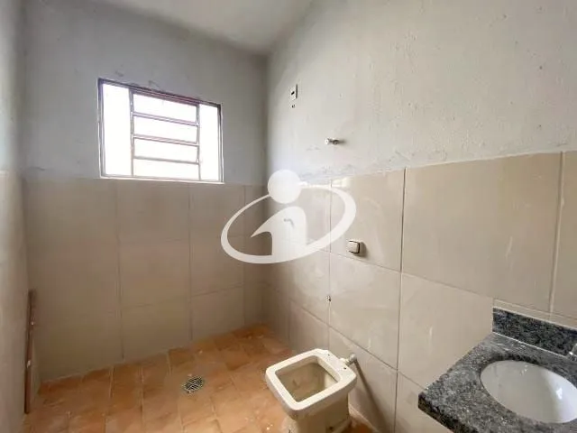 Imagem 13