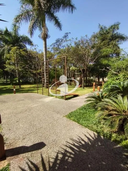 Imagem 14