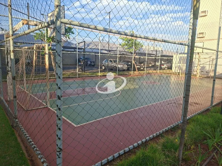 Imagem 15