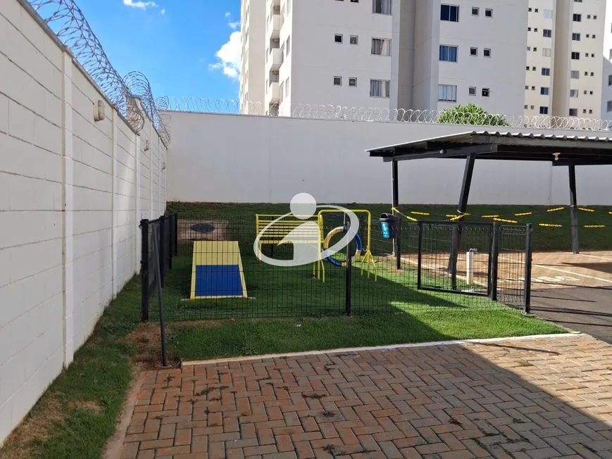 Imagem 17