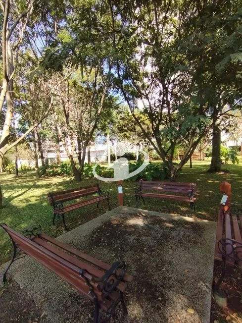 Imagem 7